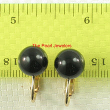 Load image into Gallery viewer, 14K Yellow Gold-Filled Black Onyx Clip-On Earrings (Non-Pierced)