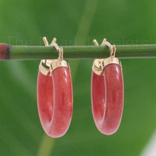 Load image into Gallery viewer, 14K Yellow Gold Tube Ring Red Jade Hook Earrings