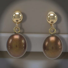 Load image into Gallery viewer, Chocolate Pearl Stud Dangle Earrings – 14k Yellow Gold