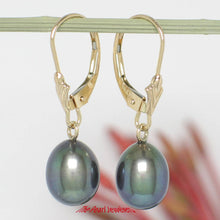 Load image into Gallery viewer, Teardrop Freshwater Pearl Leverback Earrings – 14k Yellow Gold