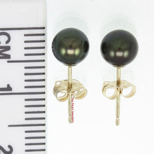 Load image into Gallery viewer, 1000151 YELLOW GOLD HIGH LUSTER BLACK CULTURED PEARL STUD EARRINGS