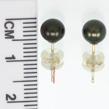 Load image into Gallery viewer, 1000151 YELLOW GOLD HIGH LUSTER BLACK CULTURED PEARL STUD EARRINGS