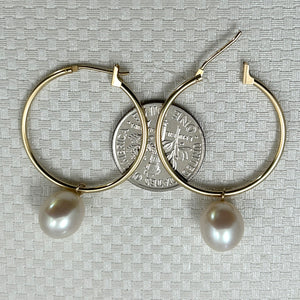 1000590-14k-Yellow-Gold-Hoop-White-Cultured-Pearl-Dangle-Earrings