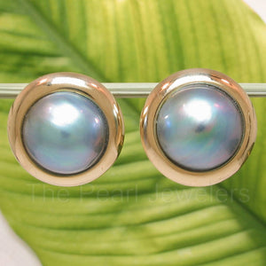 14K Yellow Gold Omega Clip & Gold Border Design Blue Mabe Pearl Earrings
