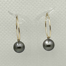 Load image into Gallery viewer, Black Tahitian Pearl Hoop Earrings – 14k Yellow Gold