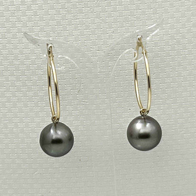 Black Tahitian Pearl Hoop Earrings – 14k Yellow Gold
