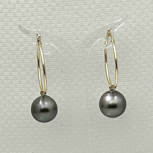Black Tahitian Pearl Hoop Earrings – 14k Yellow Gold