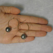 Load image into Gallery viewer, Black Tahitian Pearl Hoop Earrings – 14k Yellow Gold