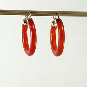 1100084-14k-Y/G-Hook-Tube-Ring-Shape-Hoop-Red-Jade-Earrings