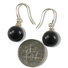 Load image into Gallery viewer, 14K Yellow Gold Sparkling Diamond Black Onyx Hook Earrings