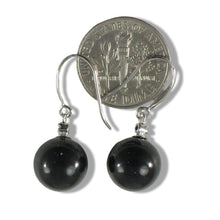 Load image into Gallery viewer, 14K White Gold Sparkling Diamond Black Onyx Hook Earrings