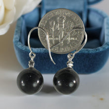 Load image into Gallery viewer, 14K White Gold Sparkling Diamond Black Onyx Hook Earrings