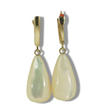 Load image into Gallery viewer, 14K Yellow Gold Raindrop Mother of Pearl Earrings
