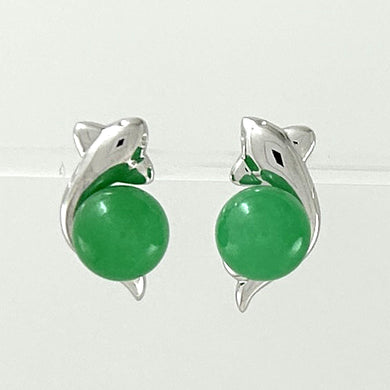 1199838-14k-White-Solid-Gold-Green-Jade-Stud-Earrings