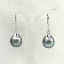 Load image into Gallery viewer, Classic Baroque Tahitian Pearl Dangle Earrings – 14k White Gold