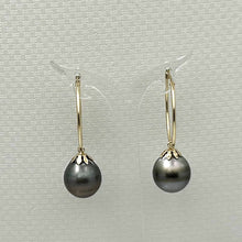 Load image into Gallery viewer, Tahitian Pearl Hoop Earrings – 14k Yellow Gold