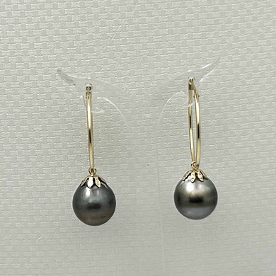 Tahitian Pearl Hoop Earrings – 14k Yellow Gold