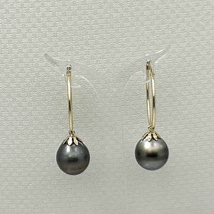 Tahitian Pearl Hoop Earrings – 14k Yellow Gold