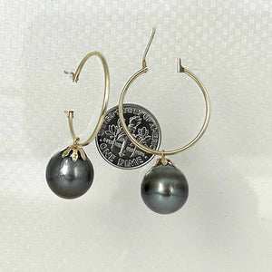 Tahitian Pearl Hoop Earrings – 14k Yellow Gold