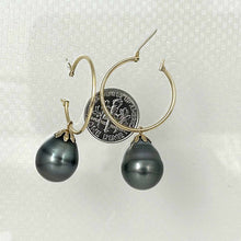 Load image into Gallery viewer, 13.5 mm Tahitian Pearl Hoop Earrings – 14k Yellow Gold