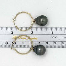 Load image into Gallery viewer, 13.5 mm Tahitian Pearl Hoop Earrings – 14k Yellow Gold