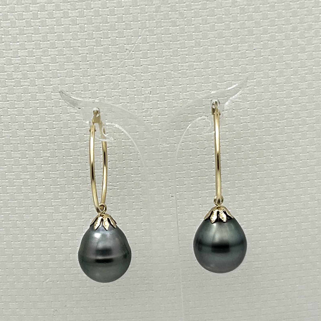 13.5 mm Tahitian Pearl Hoop Earrings – 14k Yellow Gold