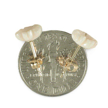 Load image into Gallery viewer, Natural Pale Pink Coral Carved Flower 14K Solid Yellow Gold Stud Earrings