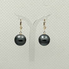 Load image into Gallery viewer, Tahitian Pearl Leverback Earrings – 14k Yellow Gold