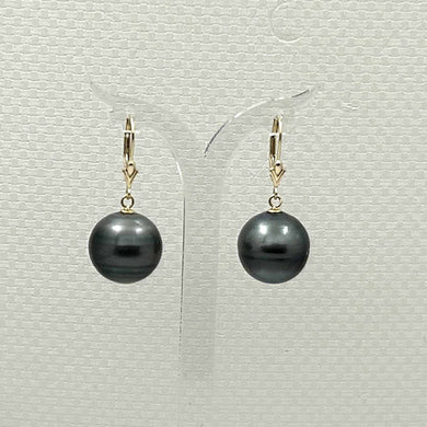 Tahitian Pearl Leverback Earrings – 14k Yellow Gold