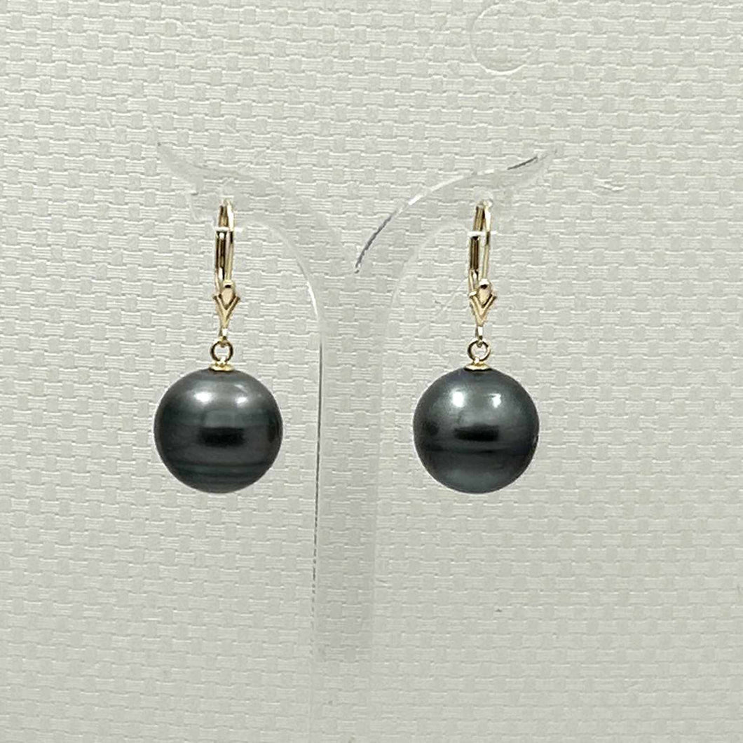 Tahitian Pearl Leverback Earrings – 14k Yellow Gold