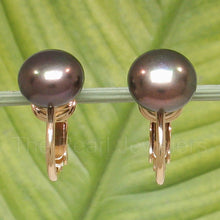 Load image into Gallery viewer, 14k Gold Filled Clip-On Black Pearl Earrings (Non-Pierced)