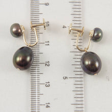 Load image into Gallery viewer, 14K Yellow Gold Screw-Back Black Pearl Earrings (Non-Pierced)