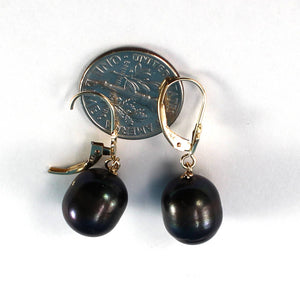 14K Yellow Gold Black Pearl Leverback Dangle Earrings (10–11mm)