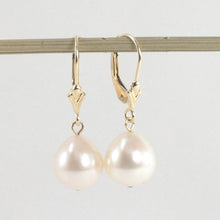 Load image into Gallery viewer, 14K Yellow Gold White Pearl Leverback Earrings (8–9mm)