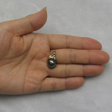 Load image into Gallery viewer, 14k Gold Wing-Bale Black Tahitian Pearl &amp; Diamond Pendant