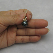 Load image into Gallery viewer, 14k Gold Wing-Bale Black Tahitian Pearl &amp; Diamond Pendant