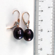 Load image into Gallery viewer, 14K Rose Gold Black Pearl Leverback Earrings (10–11mm)