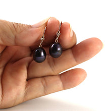 Load image into Gallery viewer, 14K Rose Gold Black Pearl Leverback Earrings (10–11mm)