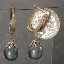 Load image into Gallery viewer, 14k Solid Gold Euro Back Black Pearl Dangle Earrings