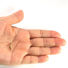 Load image into Gallery viewer, 14K Solid Yellow Gold Italian Horn Charm