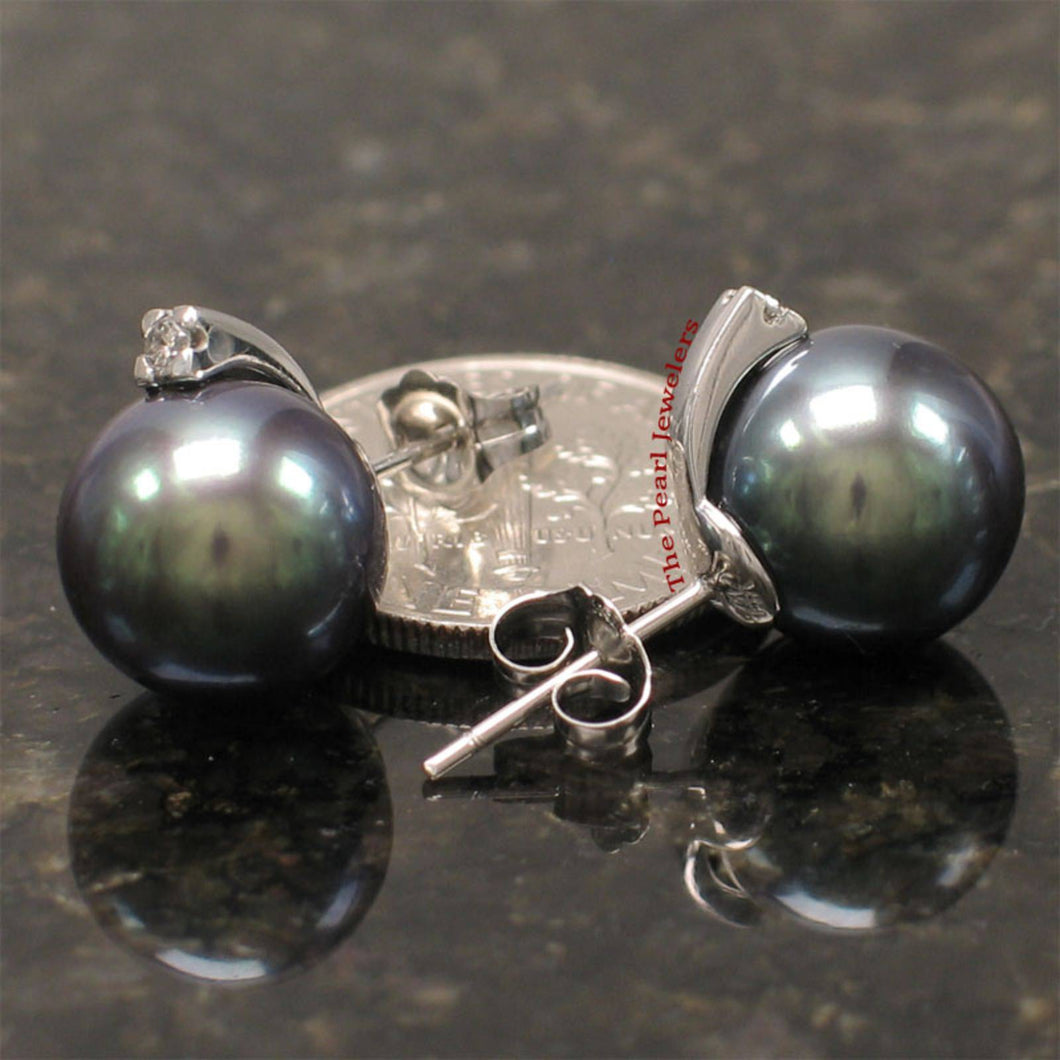 14K White Gold Diamond Black Pearl Stud Earrings (10–11mm)