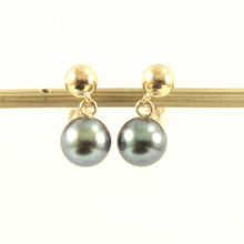Load image into Gallery viewer, 14K Yellow Gold Black Pearl Ball Stud Dangle Earrings