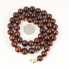 Load image into Gallery viewer, Chocolate Freshwater Cultured Pearl Necklace with 14K Yellow Gold Clasp
