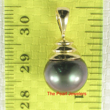 Load image into Gallery viewer, 14k Yellow Gold Bell-Bale Black Tahitian Pearl Pendant