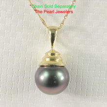 Load image into Gallery viewer, 14k Yellow Gold Bell-Bale Black Tahitian Pearl Pendant
