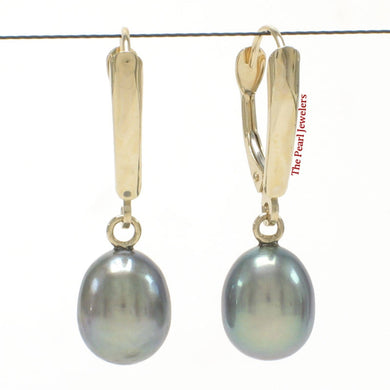 14K Yellow Gold Blue Pearl Euro Back Shield Dangle Earrings
