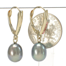 Load image into Gallery viewer, 14K Yellow Gold Blue Pearl Euro Back Shield Dangle Earrings