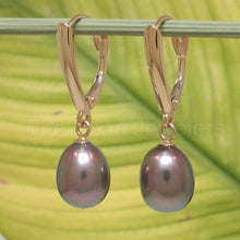 Load image into Gallery viewer, 14K Yellow Gold Blue Pearl Euro Back Shield Dangle Earrings
