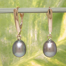 Load image into Gallery viewer, 14K Yellow Gold Blue Pearl Euro Back Shield Dangle Earrings