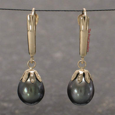 14K Yellow Gold Euro Back Black Pearl Dangle Earrings